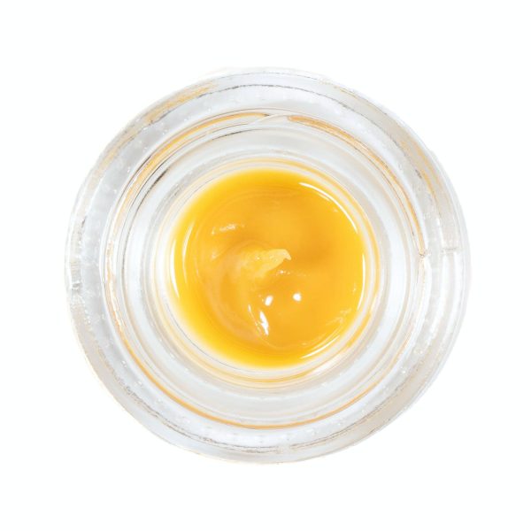 Cheetah Piss Sugar Badder -1G